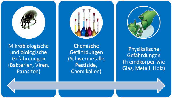 tl_files/bmqm/LebensmittelGefaehrdungen.jpg